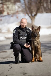 Police dog nabs four crooks, second night out