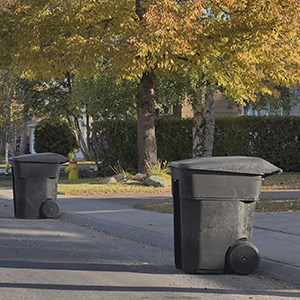 Beaconsfield trash cans