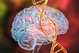Scientists discover anti-Alzheimer’s gene item-thumbnail
