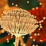 item-thumbnail